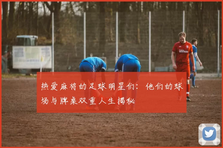 热爱麻将的足球明星们：他们的球场与牌桌双重人生揭秘