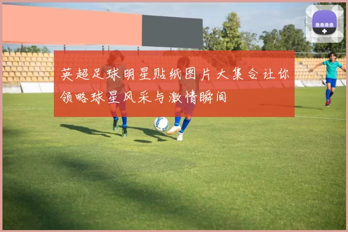 英超足球明星贴纸图片大集合让你领略球星风采与激情瞬间