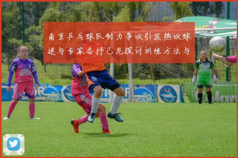 南京乒乓球队耐力争议引发热议球迷与专家各抒己见探讨训练方法与效果