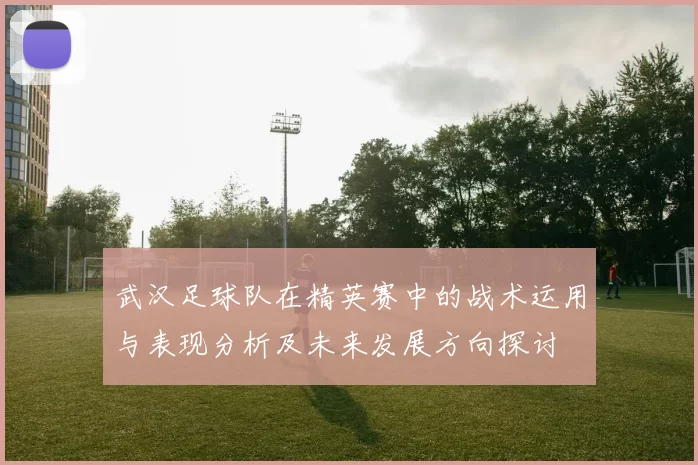 武汉足球队在精英赛中的战术运用与表现分析及未来发展方向探讨