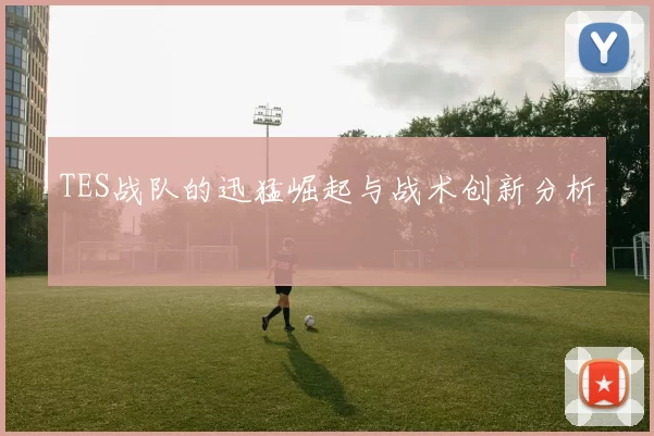 TES战队的迅猛崛起与战术创新分析