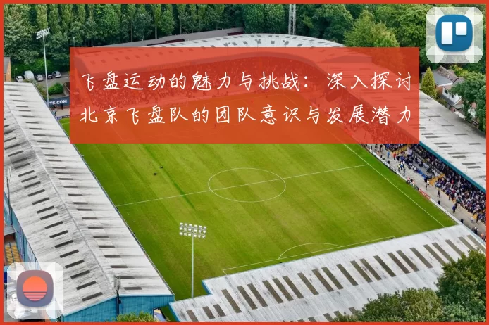 飞盘运动的魅力与挑战：深入探讨北京飞盘队的团队意识与发展潜力
