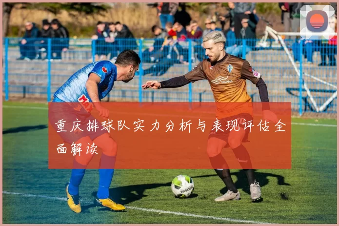 重庆排球队实力分析与表现评估全面解读