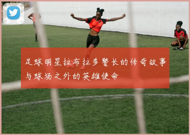 足球明星拉布拉多警长的传奇故事与球场之外的英雄使命