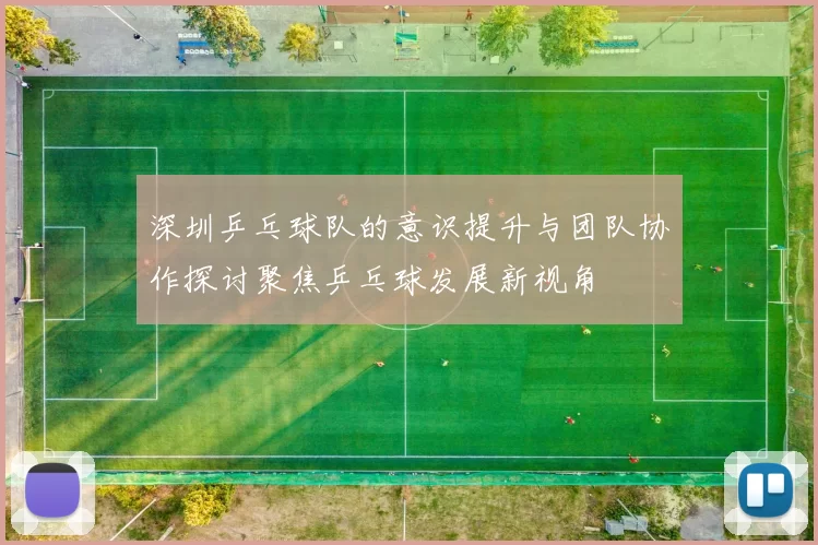 深圳乒乓球队的意识提升与团队协作探讨聚焦乒乓球发展新视角