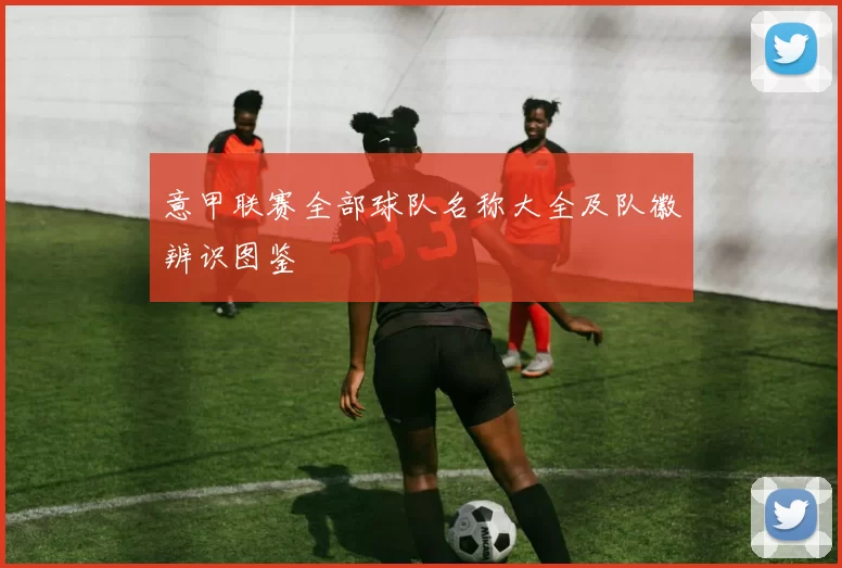 意甲联赛全部球队名称大全及队徽辨识图鉴