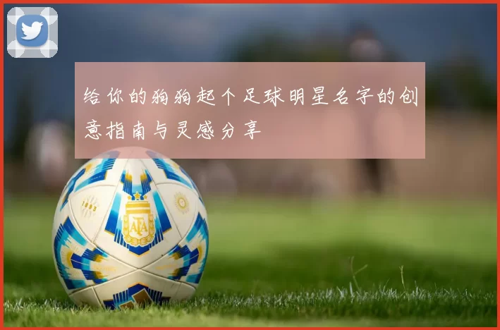 给你的狗狗起个足球明星名字的创意指南与灵感分享