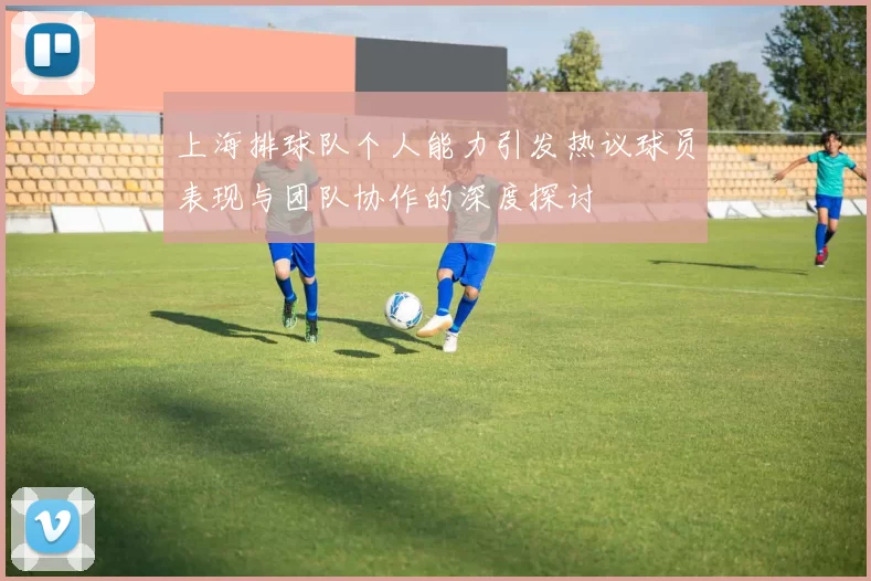 上海排球队个人能力引发热议球员表现与团队协作的深度探讨