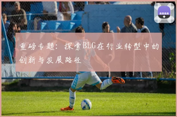 重磅专题：探索BLG在行业转型中的创新与发展路径