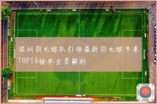 深圳羽毛球队引领最新羽毛球节奏TOP10榜单全景解析