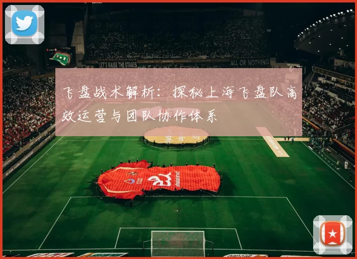 飞盘战术解析：探秘上海飞盘队高效运营与团队协作体系