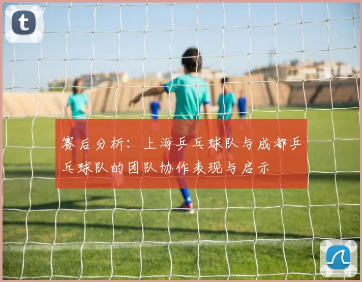 赛后分析：上海乒乓球队与成都乒乓球队的团队协作表现与启示