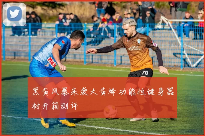 黑黄风暴来袭大黄蜂功能性健身器材开箱测评