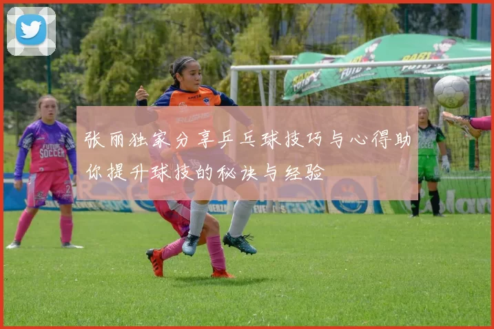 张丽独家分享乒乓球技巧与心得助你提升球技的秘诀与经验