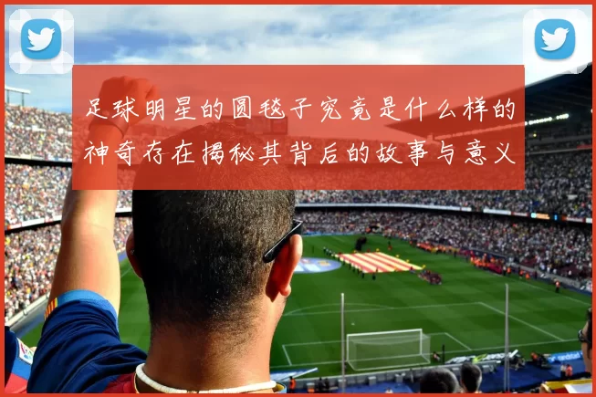 足球明星的圆毯子究竟是什么样的神奇存在揭秘其背后的故事与意义
