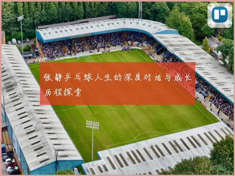 张静乒乓球人生的深度对话与成长历程探索