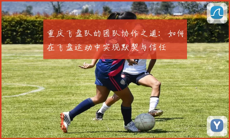 重庆飞盘队的团队协作之道：如何在飞盘运动中实现默契与信任