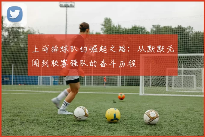 上海排球队的崛起之路：从默默无闻到联赛强队的奋斗历程