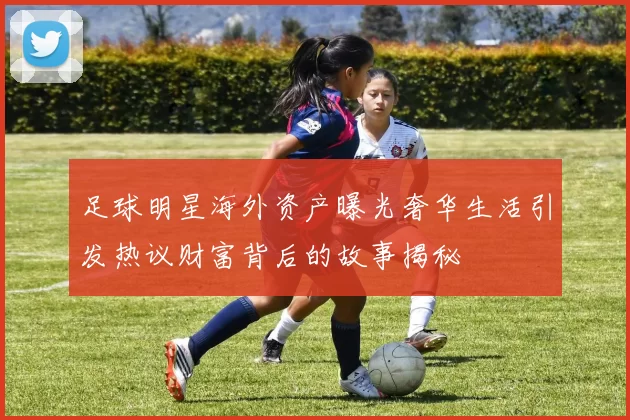 足球明星海外资产曝光奢华生活引发热议财富背后的故事揭秘